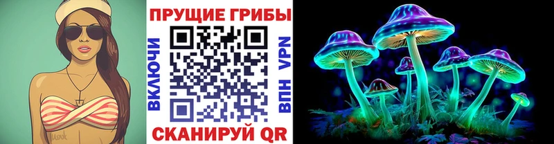 kraken зеркало  Белоусово  Псилоцибиновые грибы Psilocybine cubensis 