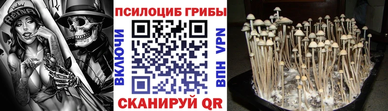 Псилоцибиновые грибы Magic Shrooms Белоусово